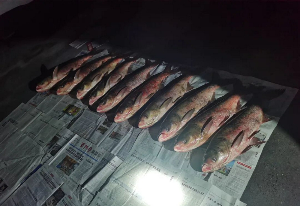 AI預(yù)警處置監(jiān)控系統(tǒng)